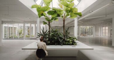 Makers of Sustainable Spaces (MOSS): Als kiem geplant