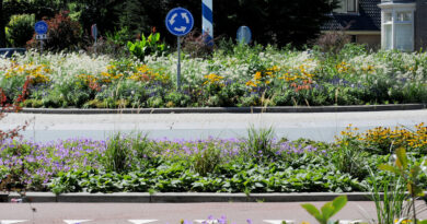 Maak openbare ruimte jaarrond groen en aantrekkelijk met vaste planten