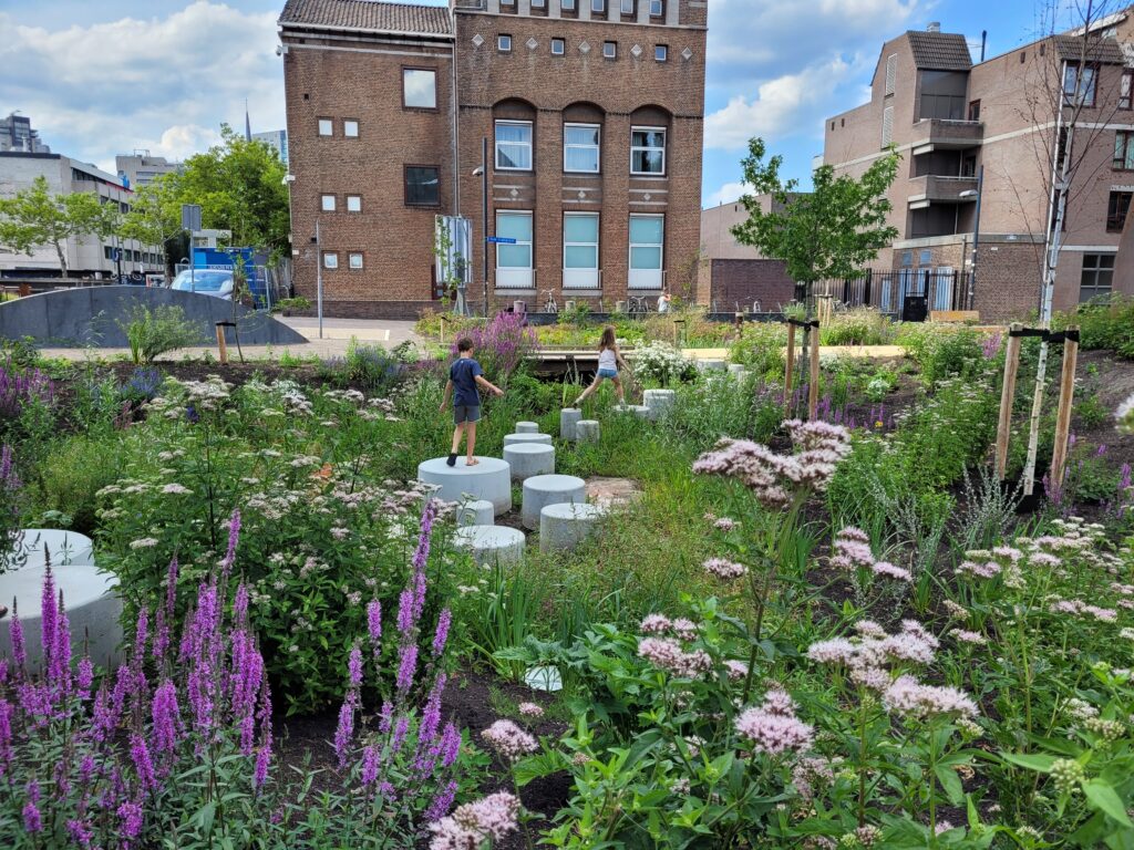 Vergroening rondom het stadhuis in Eindhoven: een prachtig voorbeeld van een mooie, natuurlijke en biodiverse beplanting